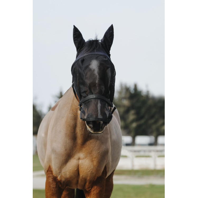 Capezza + maschera Equithème