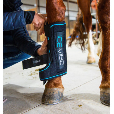 Ghette massaggianti Horseware Ice-Vibe Ghette massaggianti Horseware Ice-Vibe