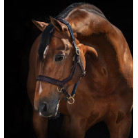 Capestro Rambo Micklem Horseware Marrone Capestro Rambo Micklem Horseware Marrone