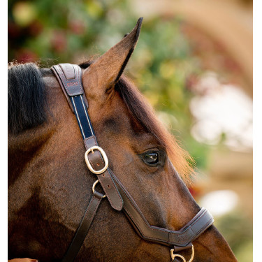 Capestro Rambo Micklem Horseware Marrone Capestro Rambo Micklem Horseware Marrone
