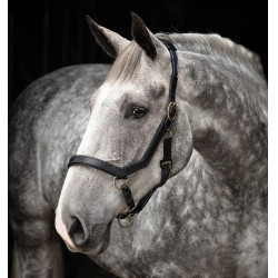 Capestro Rambo Micklem Horseware Capestro Rambo Micklem Horseware