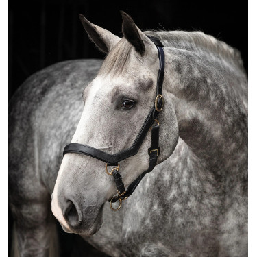 Capestro Rambo Micklem Horseware Capestro Rambo Micklem Horseware