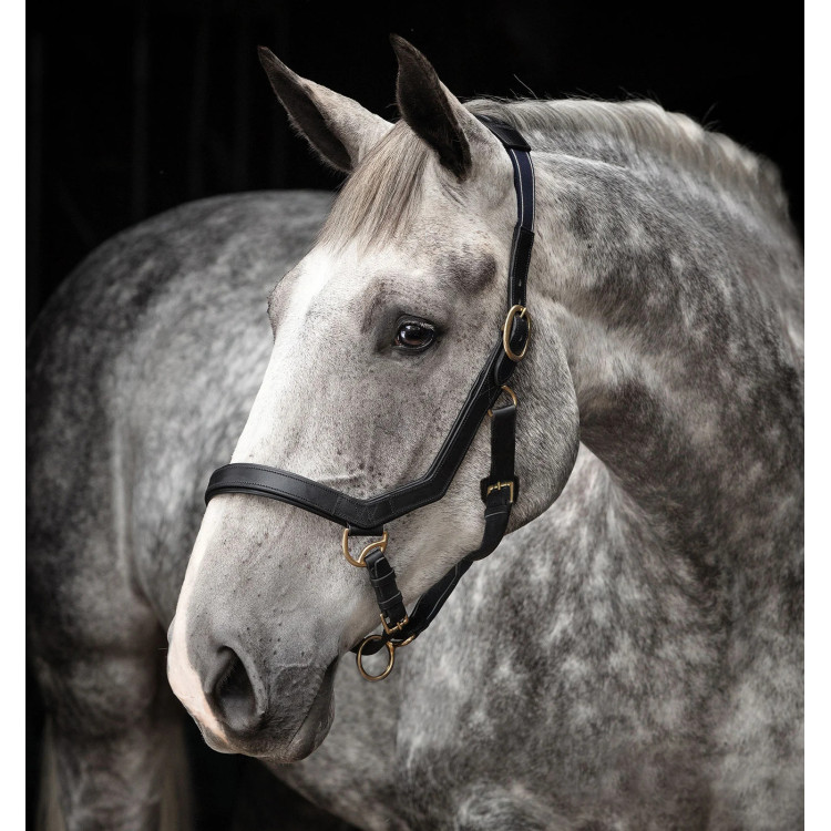 Capestro Rambo Micklem Horseware Capestro Rambo Micklem Horseware