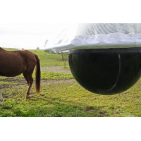 PIEGE A TAONS TAON X