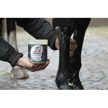 Gel rinfrescante Leovet Cellsius Gel rinfrescante Leovet Cellsius