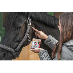 Gel Leovet Propolis Primo Soccorso Gel Leovet Propolis Primo Soccorso