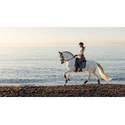 Sottosella LeMieux Earth Dressage Square Oceano Blu