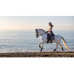 Sottosella LeMieux Earth Dressage Square Sottosella LeMieux Earth Dressage Square