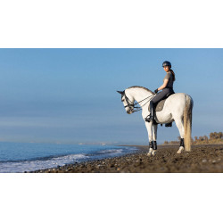Sottosella LeMieux Earth Dressage Square Sottosella LeMieux Earth Dressage Square