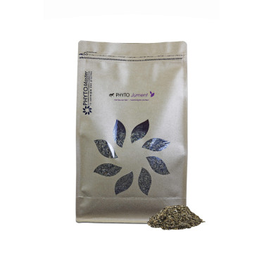 Phyto Giumenta Phyto Master Phyto Giumenta Phyto Master