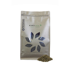 PHYTO VERRUCHE