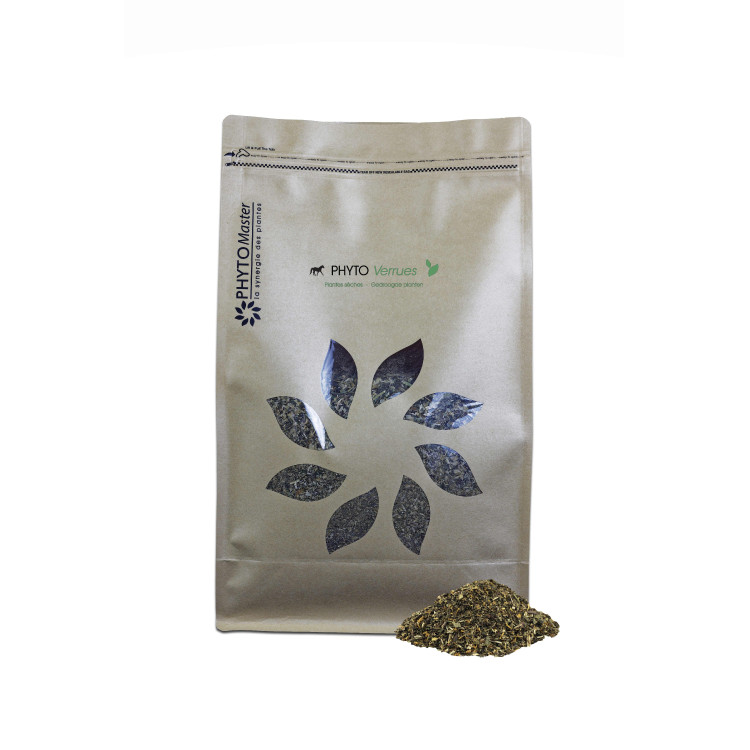 PHYTO VERRUCHE