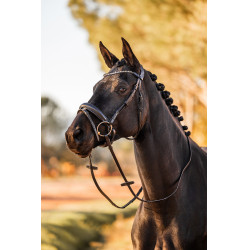 Briglia anatomica Horze Lockhart Nero Briglia anatomica Horze Lockhart Nero