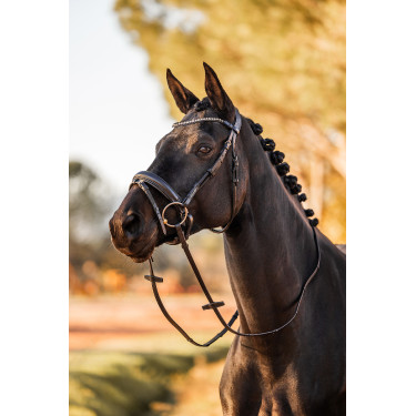 Briglia anatomica Horze Lockhart Nero Briglia anatomica Horze Lockhart Nero