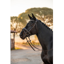 Briglia anatomica Horze Lockhart Briglia anatomica Horze Lockhart