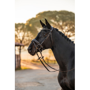 Briglia anatomica Horze Lockhart Briglia anatomica Horze Lockhart