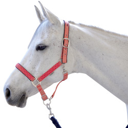 Set licol et longe Varna Flags & Cup Bleu marine