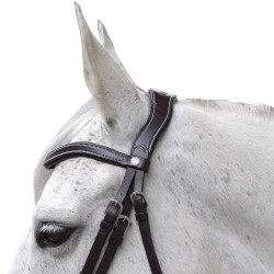 Bridon Canter Baloubet Noir