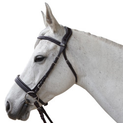 Bridon Canter bitless Evolution Noir Bridon Canter bitless Evolution Noir