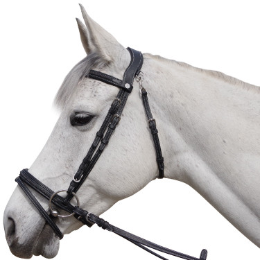 Bridon Flags & Coppa Aachen Bridon Flags & Coppa Aachen