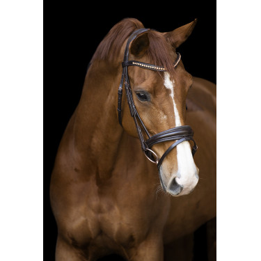 Briglia Impérial Riding Fria Marrone Briglia Impérial Riding Fria Marrone