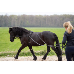 Redini lunghe Imperial Riding Free Ride Redini lunghe Imperial Riding Free Ride