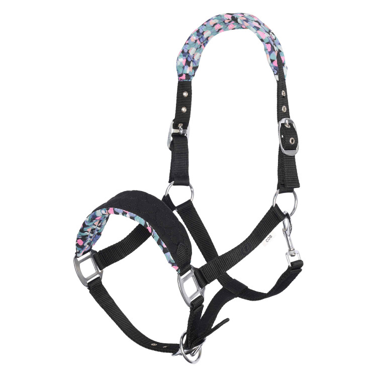 Capezzina Imperial Riding Stormy