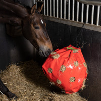 Sacca per fieno Imperial Riding Apple Rosso Sacca per fieno Imperial Riding Apple Rosso