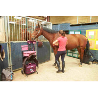 Carrello Mobile Gm e Baule Box Pro Xl La Gée Granata Bordeaux