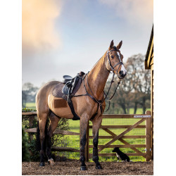 Sottosella LeMieux Prosport close contact square - cotone Sottosella LeMieux Prosport close contact square - cotone
