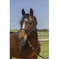 Capezzina Norton Grooming Nero