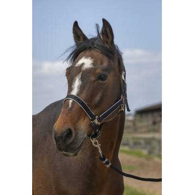 Licol Equithème Nylon light Noir