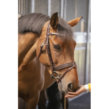 Bridon Pénélope Harmonie Avana Marrone