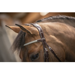 Bridon Pénélope Harmonie Avana Marrone