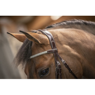 Bridon Pénélope Harmonie Avana Marrone