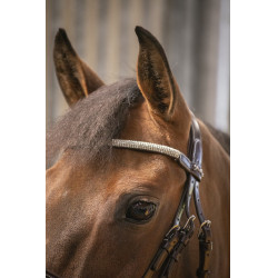 Bridon Pénélope Harmonie Avana Marrone