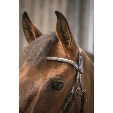 Bridon Pénélope Harmonie Avana Marrone