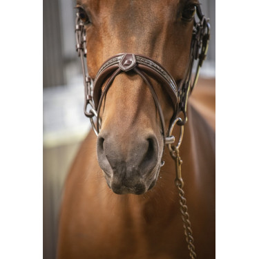 Bridon Pénélope Harmonie Avana Marrone