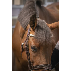 Bridon Pénélope Harmonie Avana Marrone