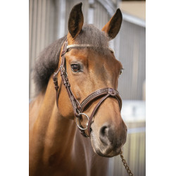 Bridon Pénélope Harmonie Avana Marrone