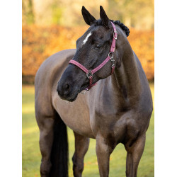Capestro in neoprene LeMieux Yard Capestro in neoprene LeMieux Yard