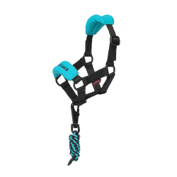 Capestro alla moda per giocattolo Mini Pony LeMieux Azzurro Blu