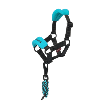 Capestro alla moda per giocattolo Mini Pony LeMieux Azzurro Blu