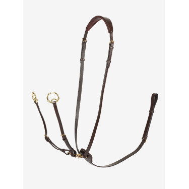 Martingala ad anelli Kudos LeMieux Avana / ottone Marrone Martingala ad anelli Kudos LeMieux Avana / ottone Marrone