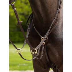 Martingala ad anelli Kudos LeMieux Avana / ottone Marrone Martingala ad anelli Kudos LeMieux Avana / ottone Marrone