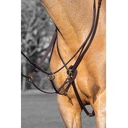 Martingala ad anelli Kudos LeMieux Avana / ottone Marrone Martingala ad anelli Kudos LeMieux Avana / ottone Marrone
