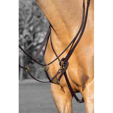 Martingala ad anelli Kudos LeMieux Avana / ottone Marrone Martingala ad anelli Kudos LeMieux Avana / ottone Marrone