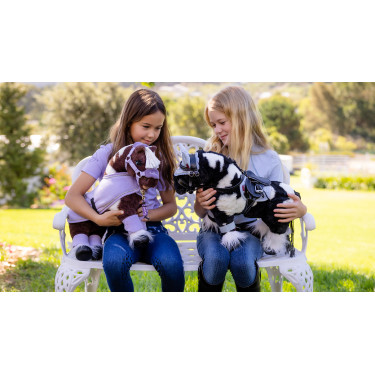 Mini Pony LeMieux Razzle Mini Pony LeMieux Razzle