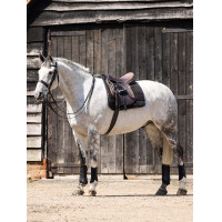 Sottosella da lavoro LeMieux Dressage Nero Sottosella da lavoro LeMieux Dressage Nero