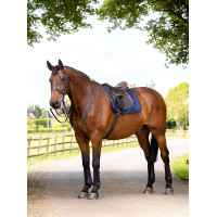 Sottosella da lavoro LeMieux Dressage Nero Sottosella da lavoro LeMieux Dressage Nero